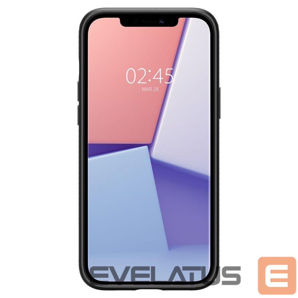 Nugarėlės dėklai Spigen Black