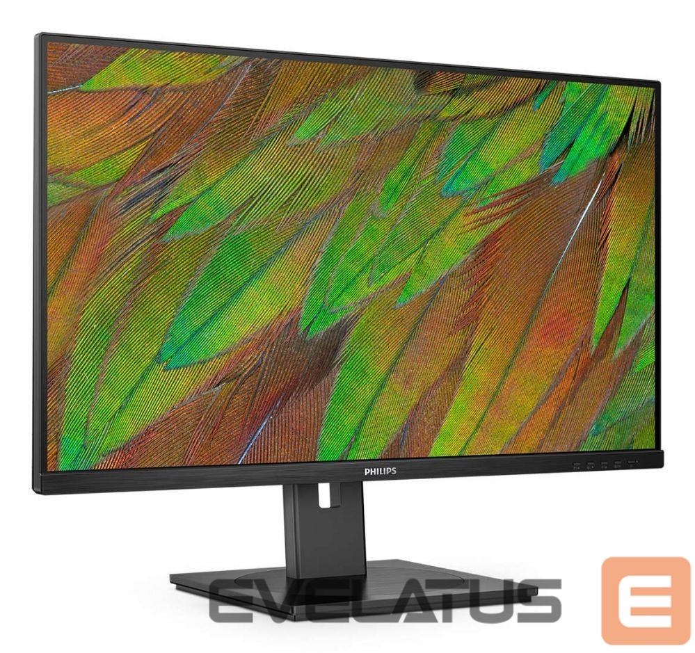 Monitoriai Mmd-monitors & displays PHILIPS 32B1U3900/00 Monitor 31.5i UHD