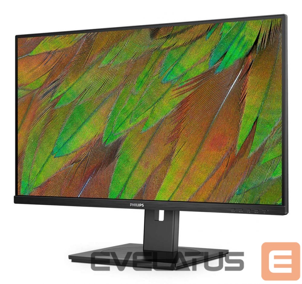 Monitoriai Mmd-monitors & displays PHILIPS 32B1U3900/00 Monitor 31.5i UHD