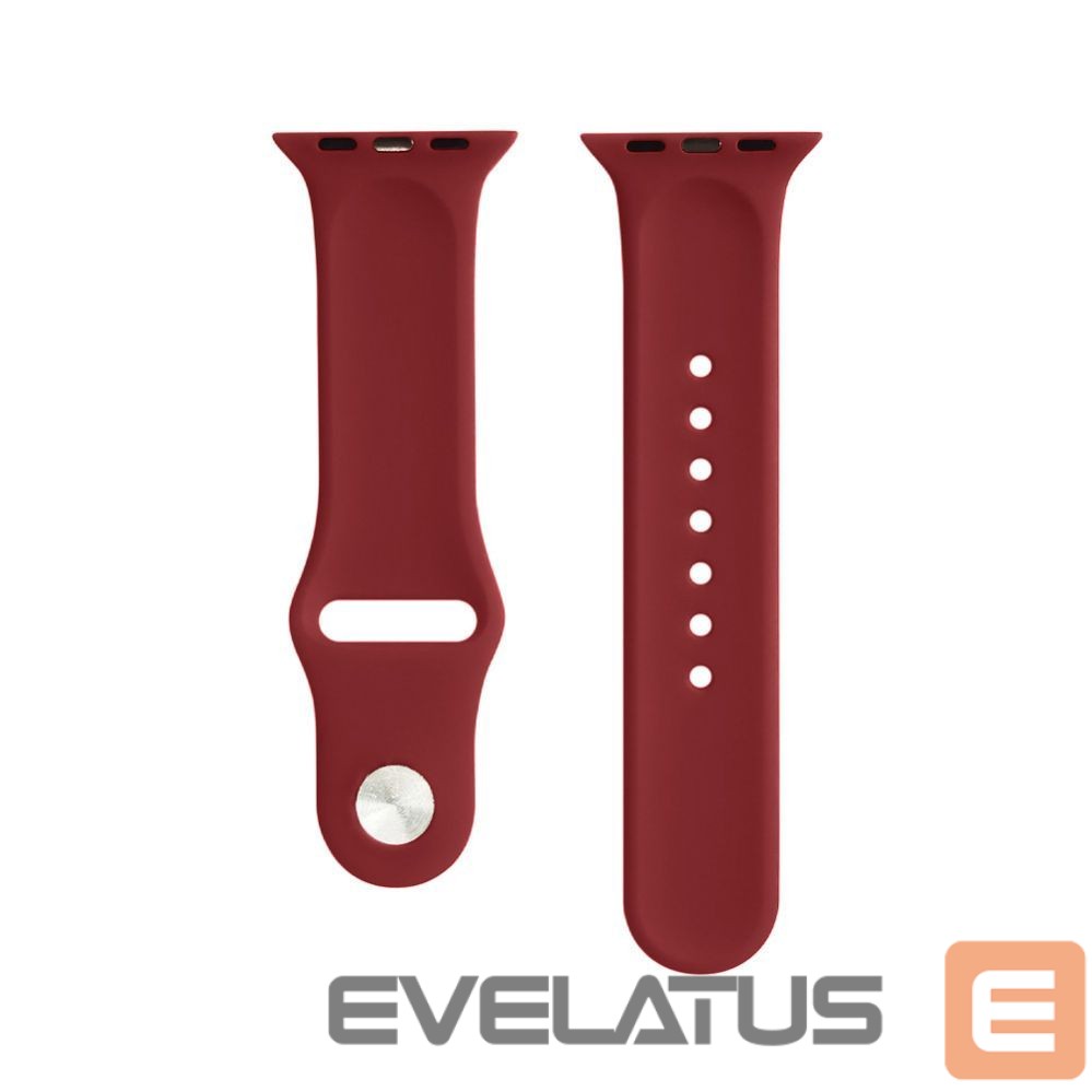 Dirželis Evelatus Evelatus Apple Watch 42/44/45mm Silicone Loop Watch Straps (140mm M/L) Plum