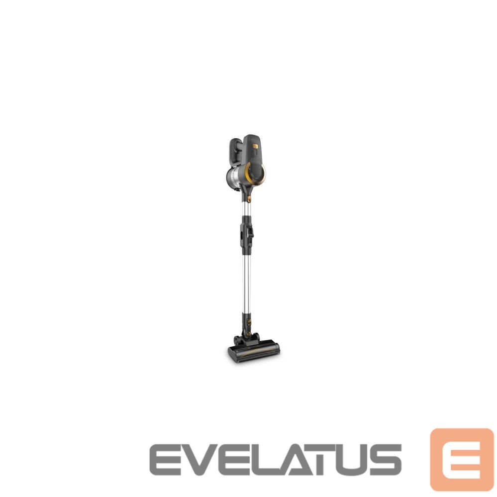 Dulkių siurblys Amsta Amvc2415flex Amsta Multifunction Cordless Vacuum Cleaner Black