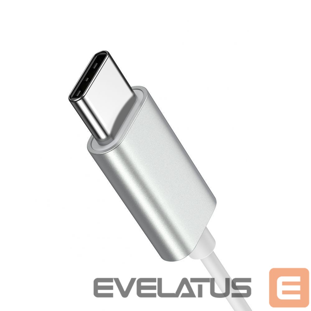 laidiniai garsiakalbiai Joyroom JR-EC06 In-Ear Metal Wired Earbuds 10mm Silver