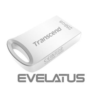 USB atmintinė Transcend  MEMORY DRIVE FLASH USB3.1/256GB TS256GJF710S 