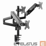 Televizoriai ir jų priedai Gembird  DISPLAY ACC MOUNTING ARM/17-27" MA-DA3-01 
