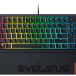 Kompiuterio klaviatūra Razer  Klaviatūra Razer Ornata V3 Tenkeyless Black 