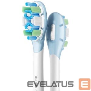 Dantų šepetėlis Xiaomi  | Oscillation Electric Toothbrush Replacement Heads (Clean) | Heads | For adults | Number of brush heads included 3 