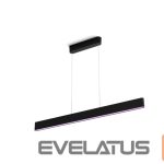 Stalinė lempa Philips Hue  Ensis pendant black 79W 24V | 79 W | White and Colour Ambiance 2000-6500K 