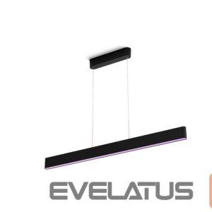 Stalinė lempa Philips Hue  Ensis pendant black 79W 24V | 79 W | White and Colour Ambiance 2000-6500K 