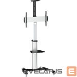Televizoriaus laikiklis Logilink  BP0025 TV stand cart, adjustable TV height, 37–70“, max. 50 kg  Floor stand, BP0025, 30-70 