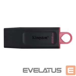 USB atmintinė Kingston  MEMORY DRIVE FLASH USB3.2/256GB DTX/256GB 