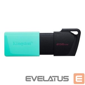 USB atmintinė Kingston  MEMORY DRIVE FLASH USB3.2/256GB DTXM/256GB 