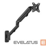 Televizoriaus laikiklis Gembird  DISPLAY ACC MOUNTING ARM 27 