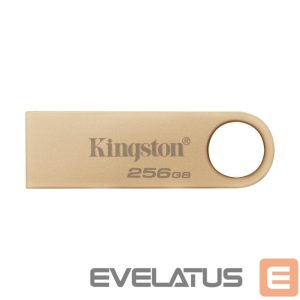 USB atmintinė Kingston  MEMORY DRIVE FLASH USB3.2/256GB DTSE9G3/256GB 