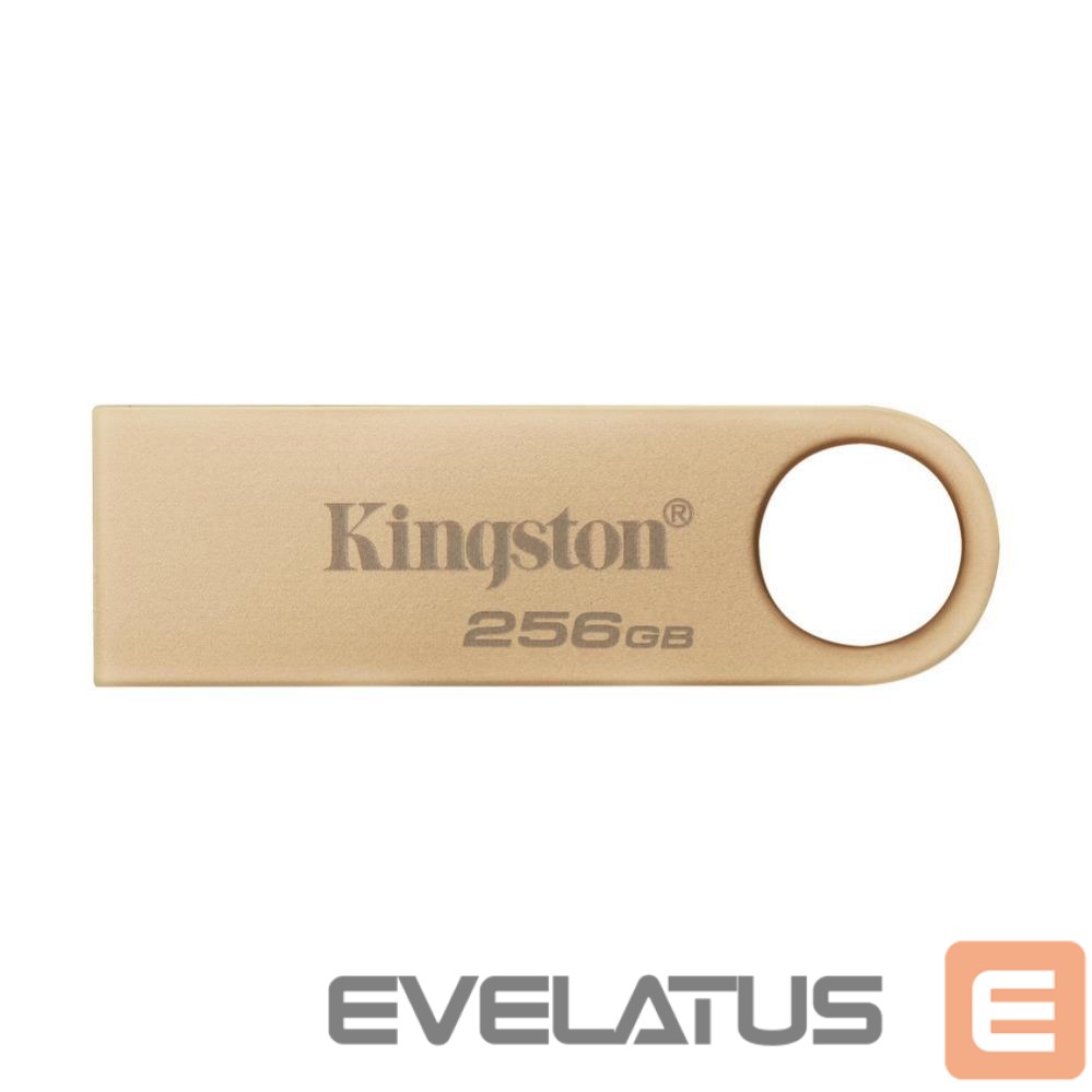 USB atmintinė Kingston MEMORY DRIVE FLASH USB3.2/256GB DTSE9G3/256GB