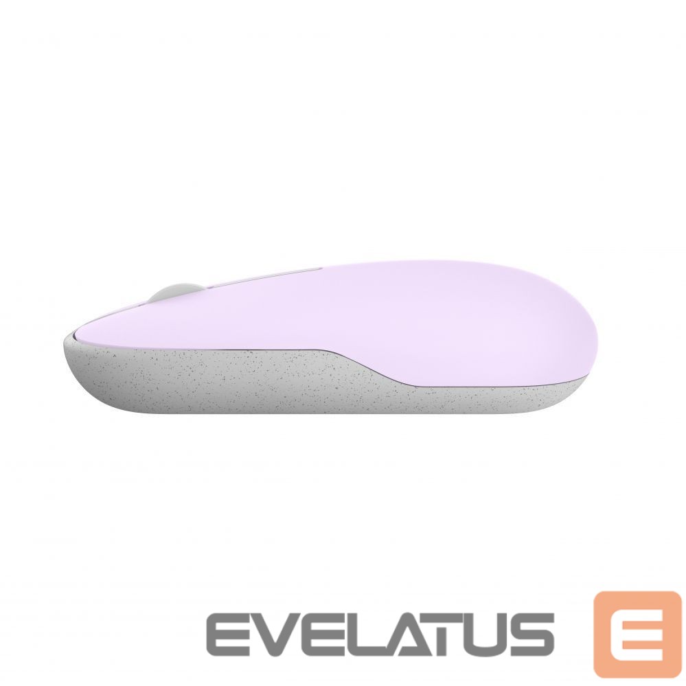 Kompiuterio pelė Asus Marshmallow Mouse | MD100 | Mouse | 2.4 GHz, Bluetooth | Beige