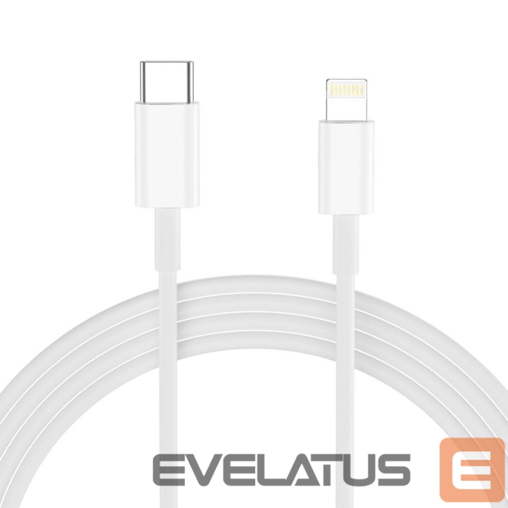 Kitos prekės Tech-Protect Tech-Protect NC20W Wall Charger with 100 cm USB-C / Lightning Cable - White