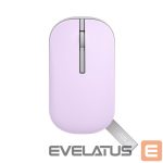 Kompiuterio pelė Asus  Wireless Mouse MD100 Wireless, Blue, Bluetooth 
