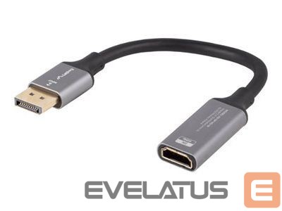 Monitoriaus priedas Lanberg Displayport (M)->HDMI(F) Adapter 8K on cable 20cm, Silver