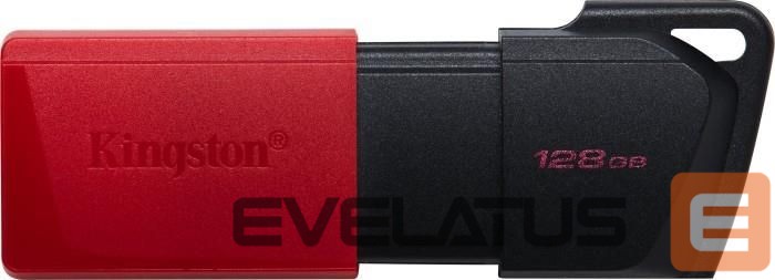 USB atmintinė Kingston MEMORY DRIVE FLASH USB3.2/128GB DTXM/128GB