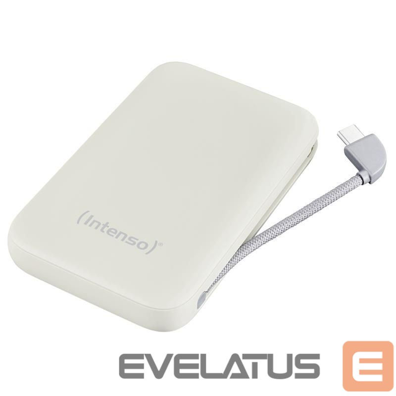 Išorinė baterija Intenso POWER BANK USB 10000MAH/BEIGE S10000 7333031