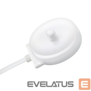 Kitos prekės Hurtel  HLS-01 charger for Oral-B electric toothbrushes 1m - white 