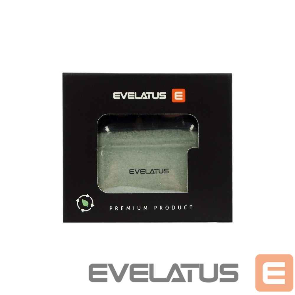 Dėklai ausinėms Evelatus Apple AirPods Pro 2 TPU Protective Case Shine Transparent