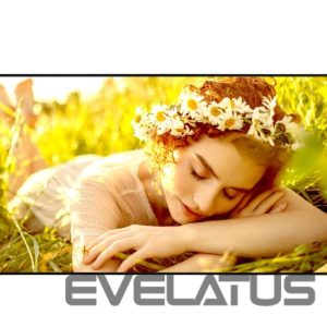 Monitoriai LG  4K UHD Signage | 65UL5Q-E | 65 " | 500 cd/m² | Landscape/Portrait | 24/7 | webOS | 8 ms | 178 ° | 178 ° 