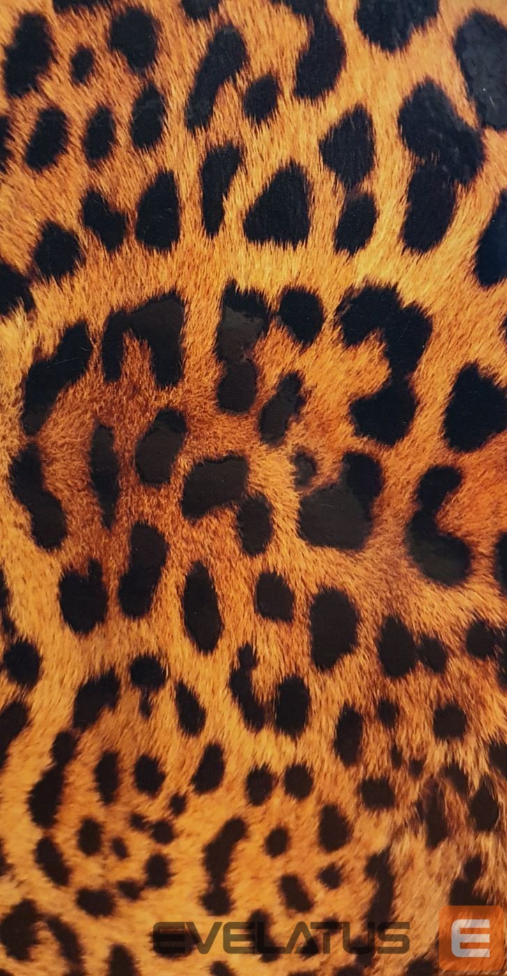 Apsauginė plėvelė Evelatus Universal Leopard Colorful Film for Screen Cutter