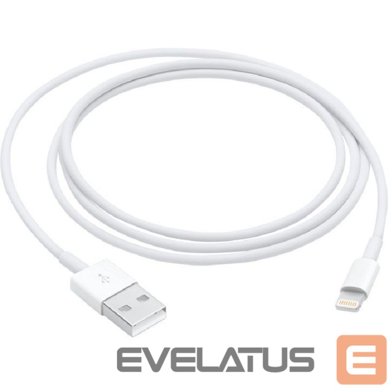 Kabelis Apple Lightning to USB Cable 1m Model A1480