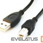 Kabelis Gembird  CABLE USB2 AM-BM 1.8M/CCP-USB2-AMBM-6 