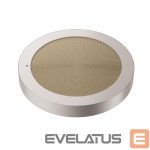Išmanusis įrenginys DREAME  SMART HOME PET PURIFIER ACC/SCRATCHING PAD DVJ2 
