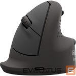 Kompiuterio pelė Fellowes  MOUSE USB OPTICAL WRL VERTICAL/ERGO+ M L 100143583 