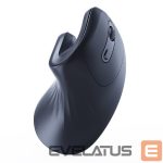 Kompiuterio pelė Gembird  MOUSE USB OPTICAL WRL BLACK/ERGONOMIC MUSW-ERGO-03 