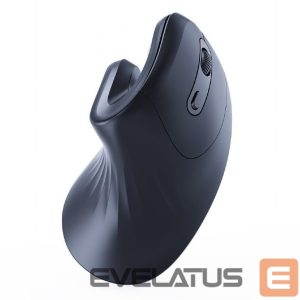 Kompiuterio pelė Gembird  MOUSE USB OPTICAL WRL BLACK/ERGONOMIC MUSW-ERGO-03 