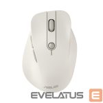 Kompiuterio pelė Asus  MOUSE USB OPTICAL WRL MD105/MK-WH 90XB0AH0-BMU000 
