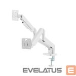 Televizoriai ir jų priedai Gembird  DISPLAY ACC MOUNTING ARM/DBL 17-32" MA-DA2-06-W 