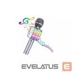 Mikrofonas Bemi  M85 Karaoke Kids & Adult Fun Effect Microphone with Speakers & Recod Micro SD USB Bluetooth 