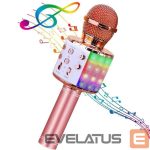 Mikrofonas HQ  Royal Song WS-858 Karaoke Kids & Adult Fun Effect Microphone with Speakers & Recodr Micro SD USB 