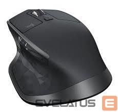 Kompiuterio pelė Logitech  MOUSE USB MX MASTER 2S/BLACK 910-007224 