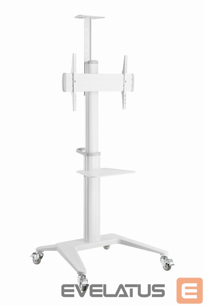 Televizoriai ir jų priedai Gembird TV SET ACC FLOOR STAND 37-70"/WHITE TVS-70T-02-W