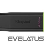 USB atmintinė Kingston  MEMORY DRIVE FLASH USB3.2/256GB DTXG2/256GB 