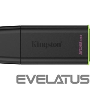 USB atmintinė Kingston  MEMORY DRIVE FLASH USB3.2/256GB DTXG2/256GB 