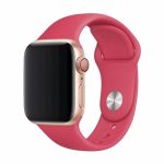 Dirželis Devia Apple Watch 40mm/ 38mm strap Deluxe Sport Red