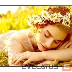 Monitoriai LG  DISPLAY LCD 55" 4K/55UL5Q-E 