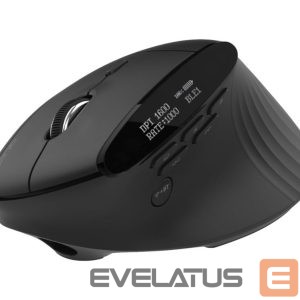 Kompiuterio pelė Acer  Smart Fit Vertical Mouse, retail pack 