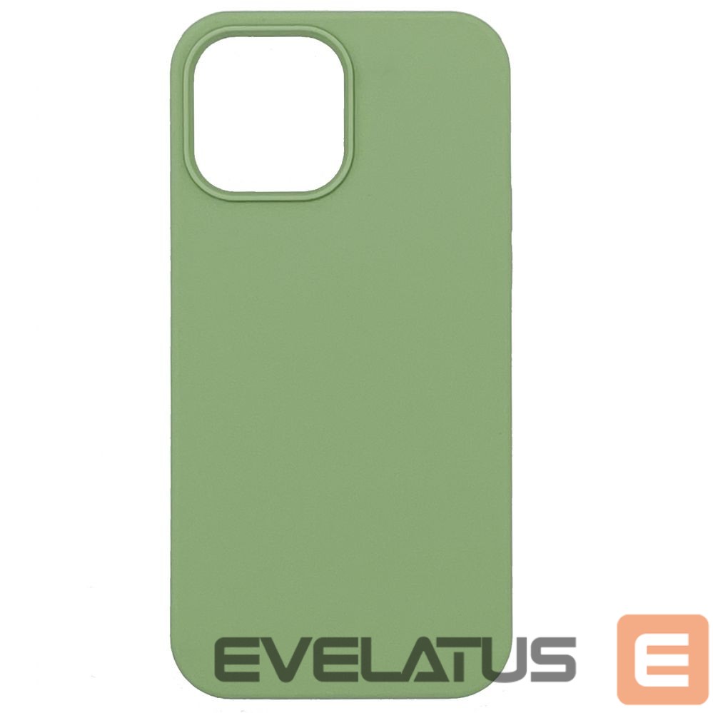 Nugarėlės dėklai Evelatus Apple Evelatus iPhone 13 Pro Max Premium Soft Touch Silicone Case Mint