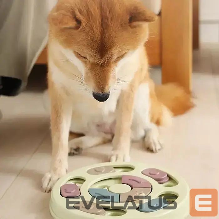Kitas produktas iLike Dog Treat Puzzle Feeder diam.24cm Interactive Slow-Eating Toy Training Game Multicolor